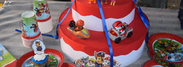 Riccardo festeggia tre anni: festa a tema Paw Patrol